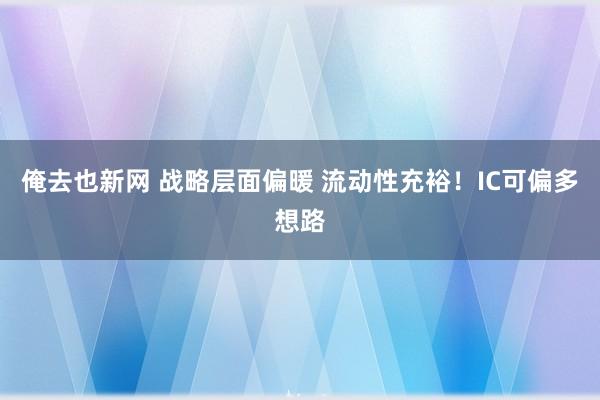 俺去也新网 战略层面偏暖 流动性充裕！IC可偏多想路