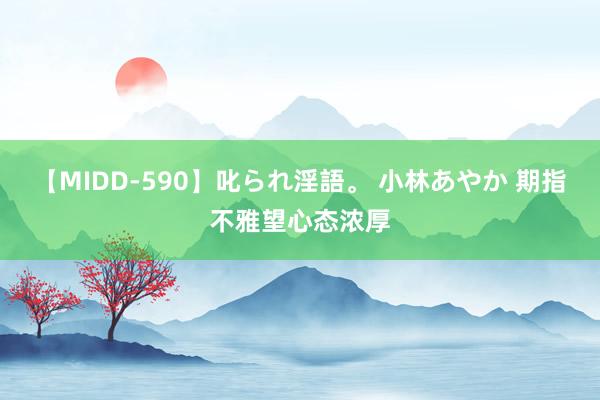 【MIDD-590】叱られ淫語。 小林あやか 期指不雅望心态浓厚