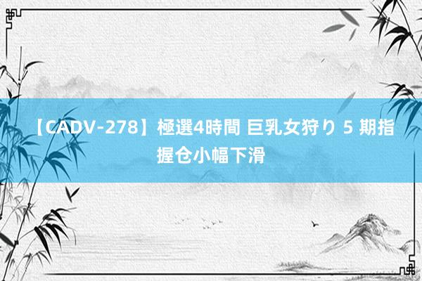 【CADV-278】極選4時間 巨乳女狩り 5 期指握仓小幅下滑