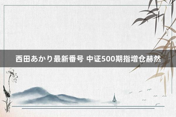 西田あかり最新番号 中证500期指增仓赫然