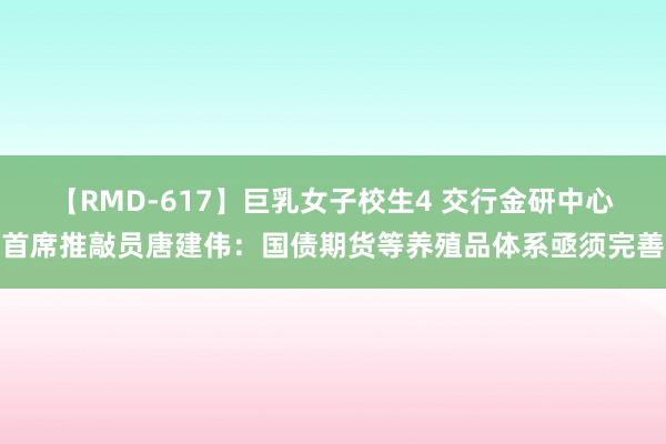 【RMD-617】巨乳女子校生4 交行金研中心首席推敲员唐建伟：国债期货等养殖品体系亟须完善