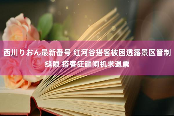 西川りおん最新番号 红河谷搭客被困透露景区管制缝隙 搭客狂砸闸机求退票