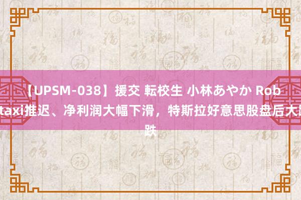 【UPSM-038】援交 転校生 小林あやか Robotaxi推迟、净利润大幅下滑，特斯拉好意思股盘后大跌