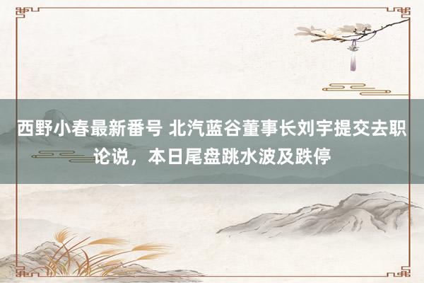 西野小春最新番号 北汽蓝谷董事长刘宇提交去职论说，本日尾盘跳水波及跌停