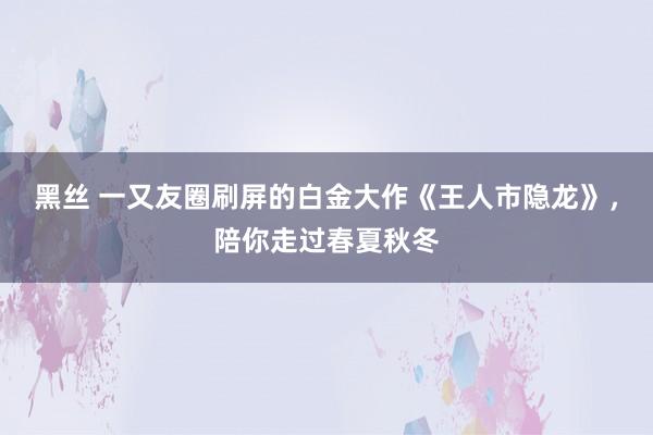 黑丝 一又友圈刷屏的白金大作《王人市隐龙》，陪你走过春夏秋冬