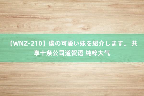 【WNZ-210】僕の可愛い妹を紹介します。 共享十条公司道贺语 纯粹大气