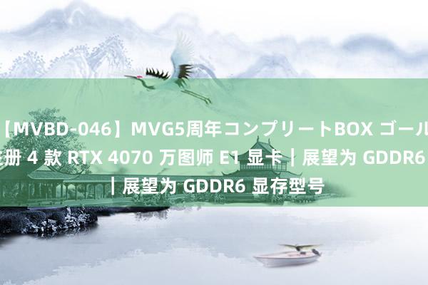 【MVBD-046】MVG5周年コンプリートBOX ゴールド 微星注册 4 款 RTX 4070 万图师 E1 显卡｜展望为 GDDR6 显存型号