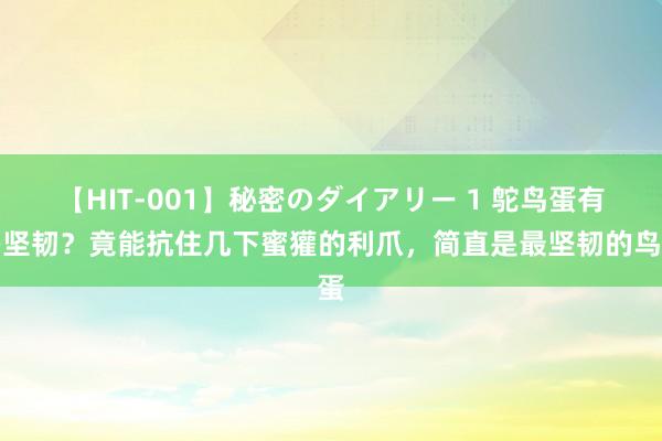 【HIT-001】秘密のダイアリー 1 鸵鸟蛋有多坚韧？竟能抗住几下蜜獾的利爪，简直是最坚韧的鸟蛋