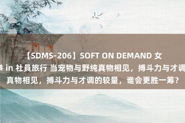 【SDMS-206】SOFT ON DEMAND 女子社員スペシャル野球拳 in 社員旅行 当宠物与野纯真物相见，搏斗力与才调的较量，谁会更胜一筹？