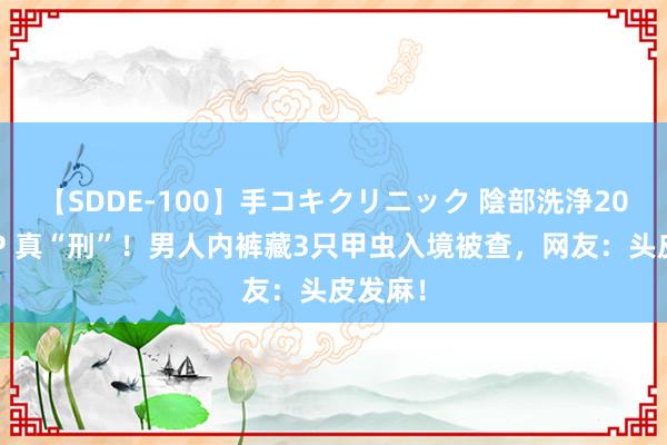 【SDDE-100】手コキクリニック 陰部洗浄20連発SP 真“刑”！男人内裤藏3只甲虫入境被查，网友：头皮发麻！