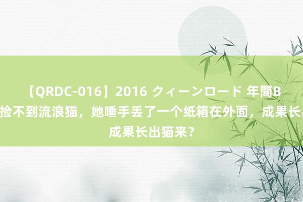 【QRDC-016】2016 クィーンロード 年間BEST10 捡不到流浪猫，她唾手丢了一个纸箱在外面，成果长出猫来？