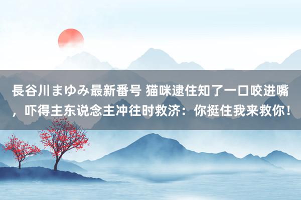 長谷川まゆみ最新番号 猫咪逮住知了一口咬进嘴，吓得主东说念主冲往时救济：你挺住我来救你！