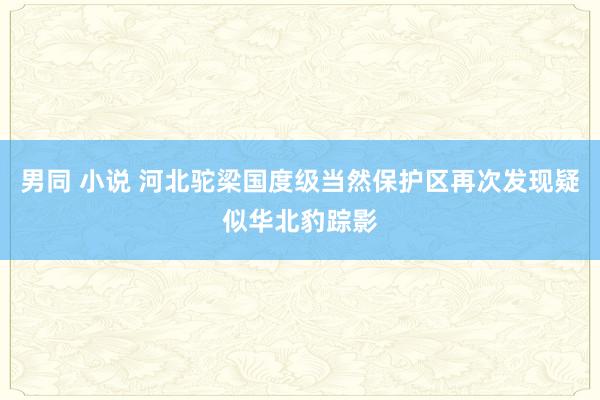 男同 小说 河北驼梁国度级当然保护区再次发现疑似华北豹踪影