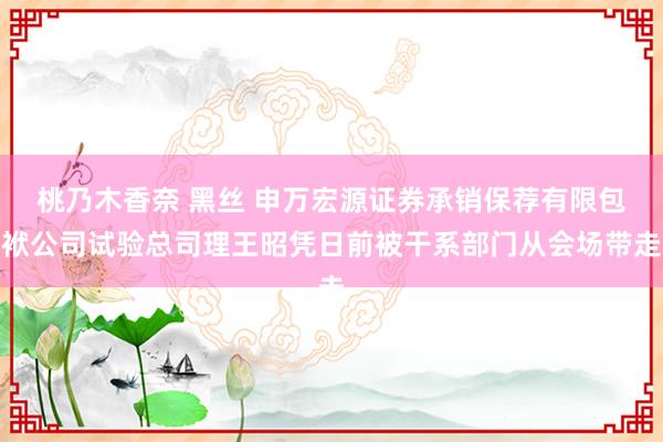 桃乃木香奈 黑丝 申万宏源证券承销保荐有限包袱公司试验总司理王昭凭日前被干系部门从会场带走