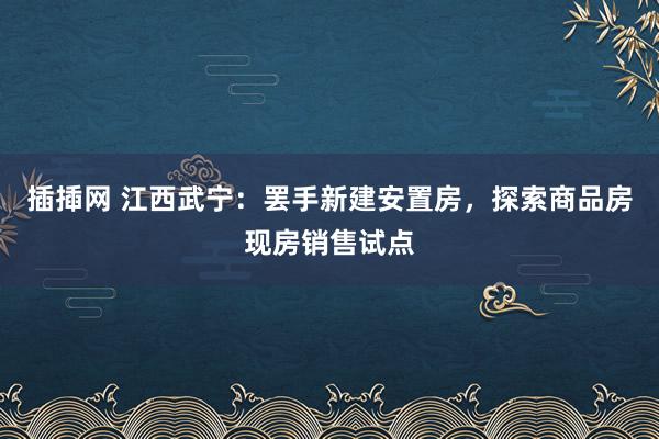 插揷网 江西武宁：罢手新建安置房，探索商品房现房销售试点