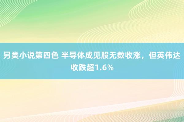 另类小说第四色 半导体成见股无数收涨，但英伟达收跌超1.6%