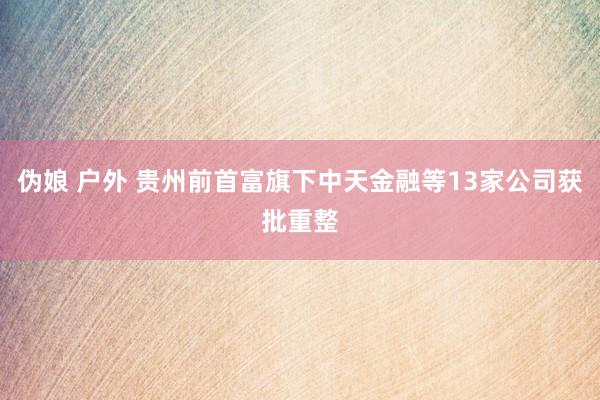 伪娘 户外 贵州前首富旗下中天金融等13家公司获批重整