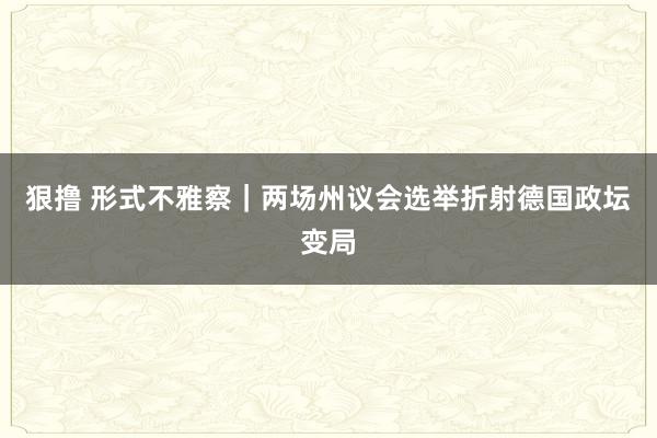 狠撸 形式不雅察｜两场州议会选举折射德国政坛变局