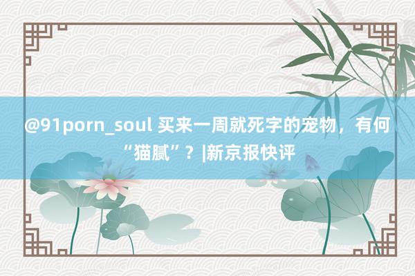 @91porn_soul 买来一周就死字的宠物，有何“猫腻”？|新京报快评