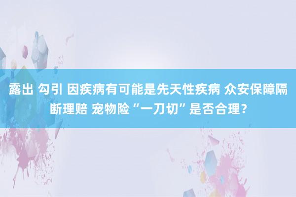 露出 勾引 因疾病有可能是先天性疾病 众安保障隔断理赔 宠物险“一刀切”是否合理？