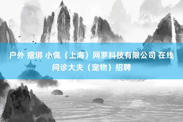 户外 捆绑 小佩（上海）网罗科技有限公司 在线问诊大夫（宠物）招聘