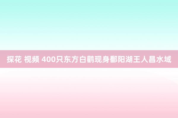 探花 视频 400只东方白鹳现身鄱阳湖王人昌水域