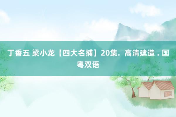 丁香五 梁小龙【四大名捕】20集.  高清建造 . 国粤双语